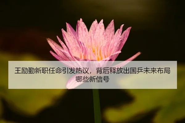 王励勤新职任命引发热议，背后释放出国乒未来布局哪些新信号